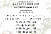 Jasmine Christmas | Script Font, a Script Font by Scratchones (Thumbnail 7 of 8)