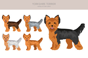 Yorkshire Terrier Clipart