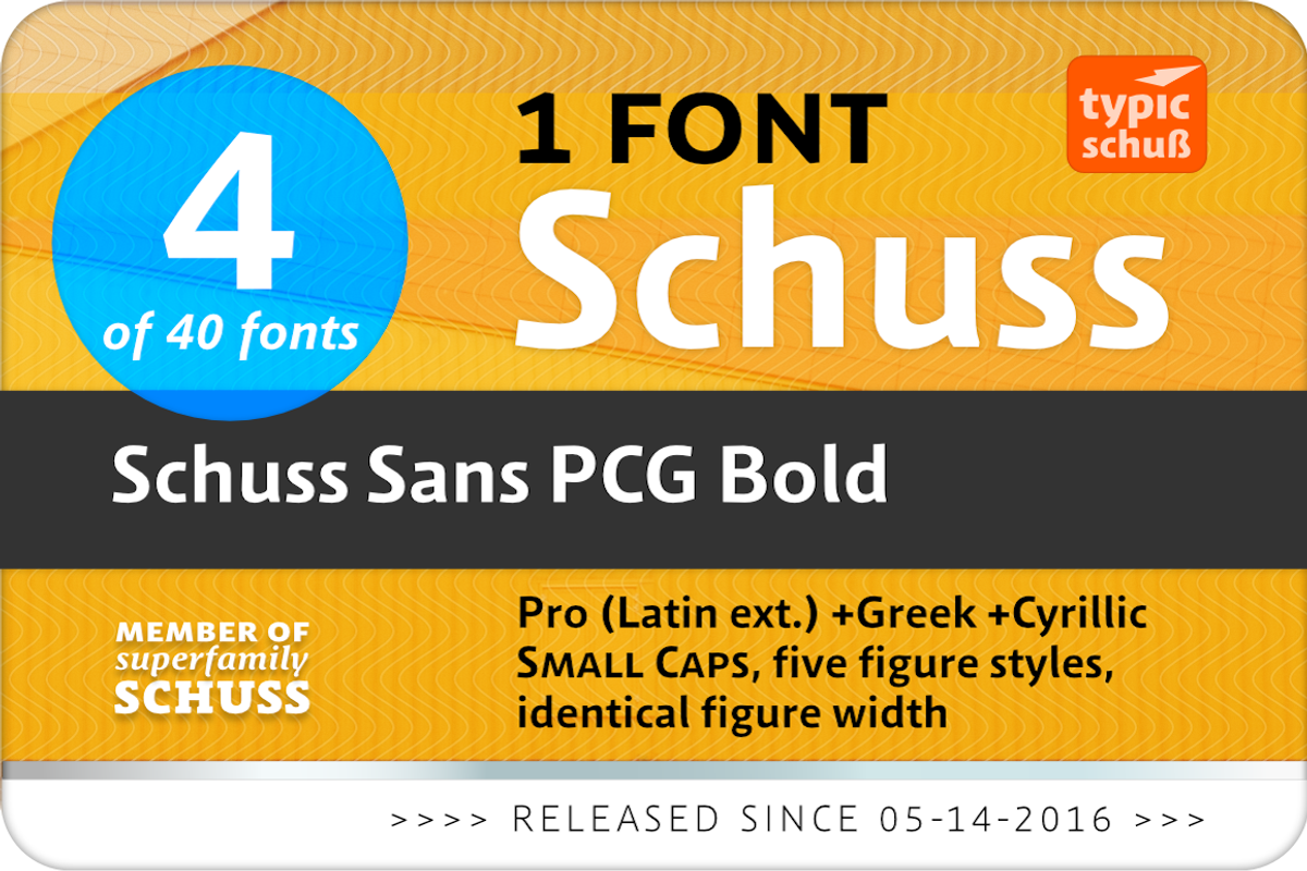 SchussSansPCGBold No.04 (1 Font) preview 2