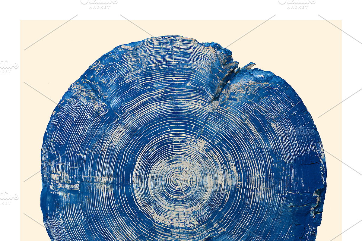 Natt Collection · Organic Tree Rings, a Texture Illustration by milatovar (Photo 7 of 19)