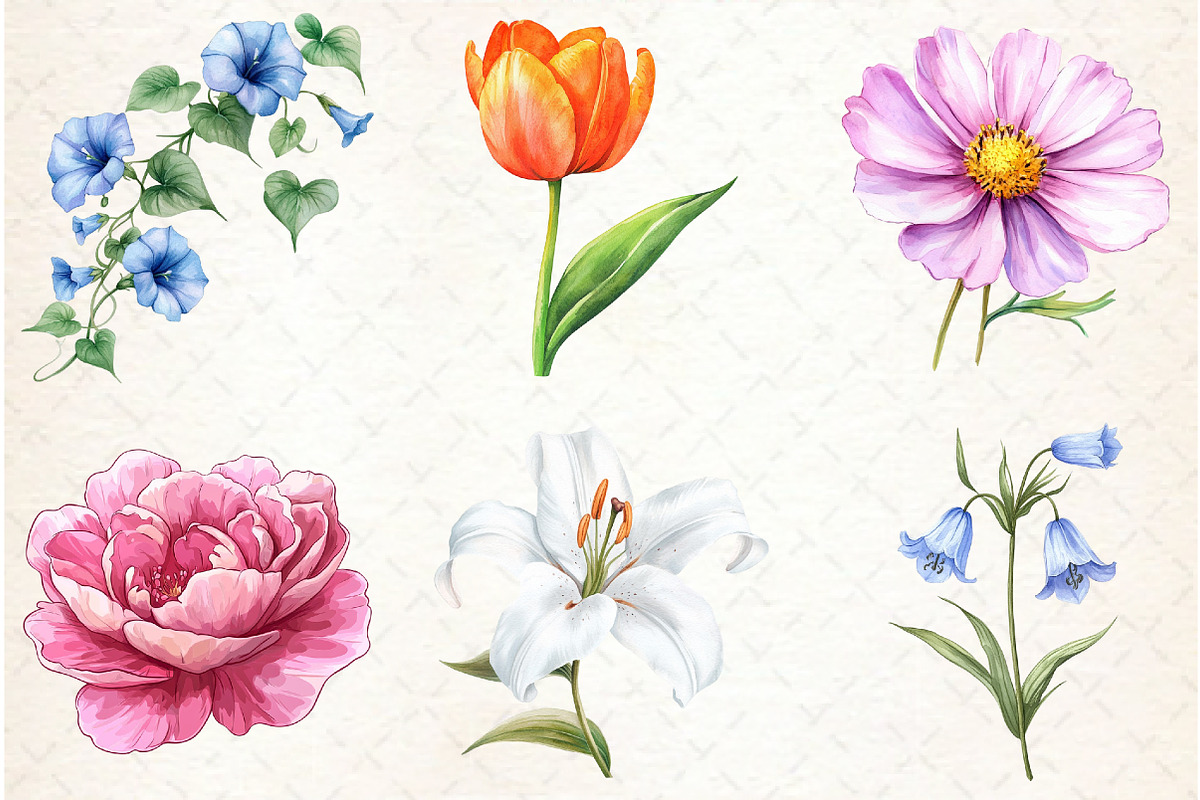 Watercolor Flower Clipart, an Illustration by Watercolor design (Photo 2 of 4)