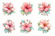 Watercolor hibiscus flower clipart, an Illustration by Designworld (Thumbnail 2 of 6)