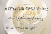 Magdolena, a Script Font by Larin Type Co. (Thumbnail 6 of 6)