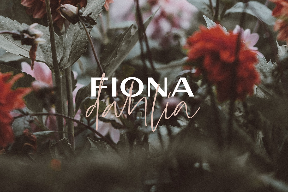 Norfolk | A Traditional Sans, a Sans Serif Font by Jen Wagner Co (Photo 11 of 15)