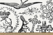 156 Misc. Vintage Illustrations Pack, an Illustration by Century Library (Thumbnail 5 of 6)