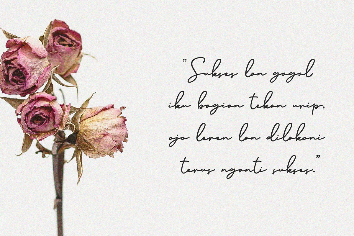 Brinley - Modern Handwritten Font, a Script Font by Flawless And Co (Photo 6 of 10)