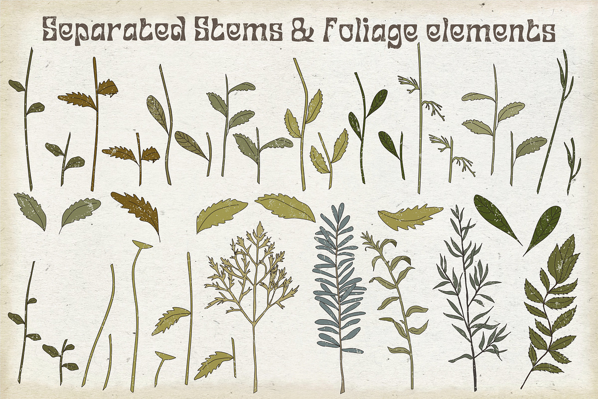 Set of SVG & PNG retro Daisies, a Decorative Illustration by marie dricot (Photo 4 of 10)