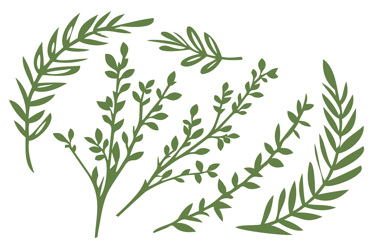 6 Vector Leafy Branches, a Decorative Illustration by UoaHH (Photo 2 of 2)