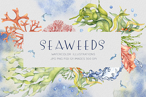 Sea Plants Watercolor Collection