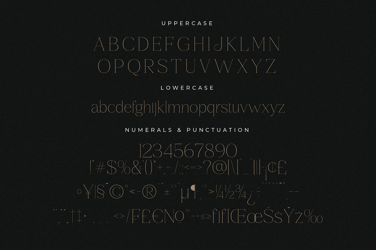 Gestiva Elegant Modern Serif, a Serif Font by Storytype Studio (Photo 13 of 15)