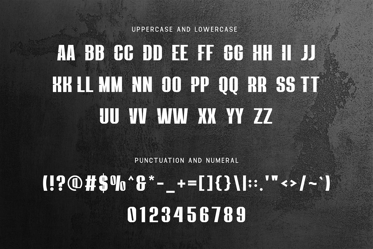 Survalyn - Modern Sans Serif Font, a Sans Serif Font by overlaytemplates (Photo 4 of 5)