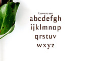 Birtle Serif 3 Font Family Pack, a Serif Font by Creativetacos (Thumbnail 3 of 5)
