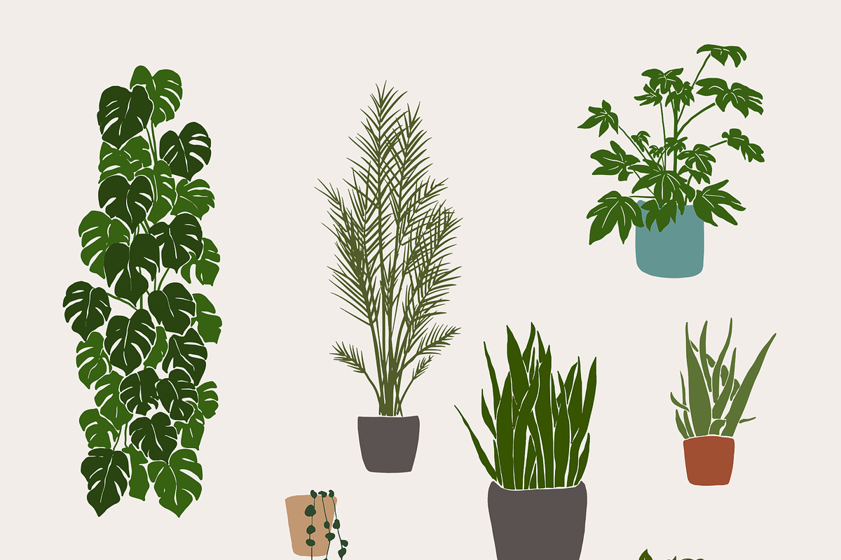 Love for Life - Self Care Collection, a Decorative Illustration by Backyard Rose (Photo 10 of 21)