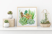 Succulents Watercolor clipart, an Illustration by BarvArt (Thumbnail 3 of 13)