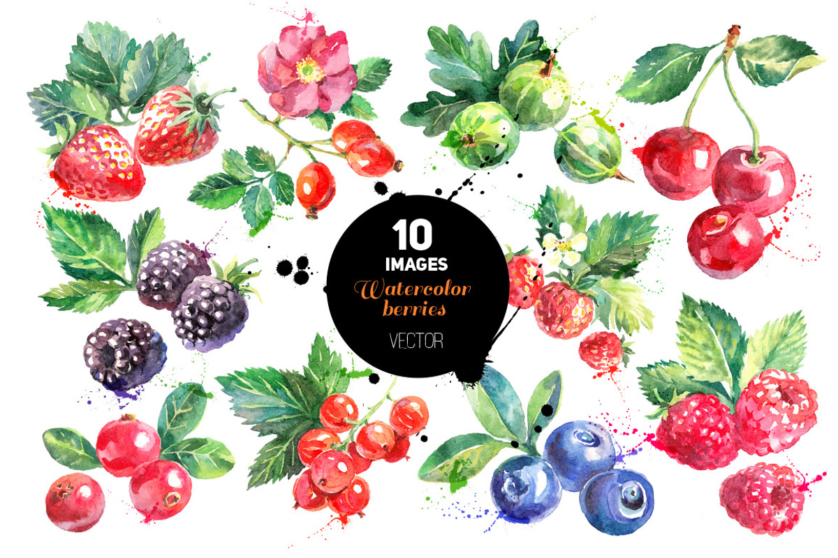 Watercolor Bundle Vector Set, a Food Illustration by Elena Pimonova (Photo 5 of 13)