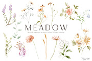 Wild floral illustrations - Meadow, an Illustration by TheHappyGiftArt (Thumbnail 2 of 8)