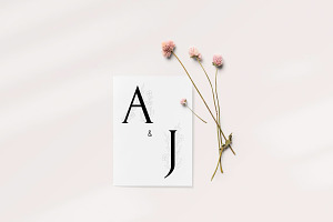 Mattiola Font Floral Illustrations