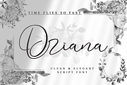 Driana Brideth, a Script Font by Aldedesign (Thumbnail 1 of 10)
