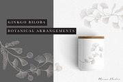 Ginkgo Botanicals - Florals & Leaves, an Illustration by Momo Studio (Thumbnail 2 of 13)