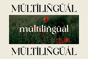 Lostangen - Elegant Classy Font, a Serif Font by RockboyStd (Thumbnail 8 of 12)