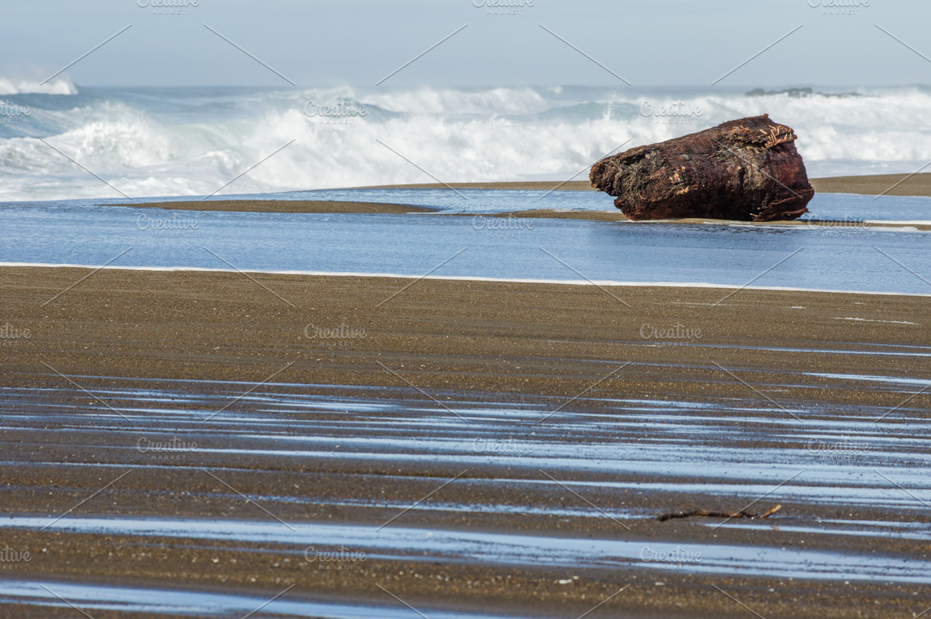 Sandy beach with driftwood log stock photo containing agriculture and beach, a Nature Photo by Zigzag Mountain Art