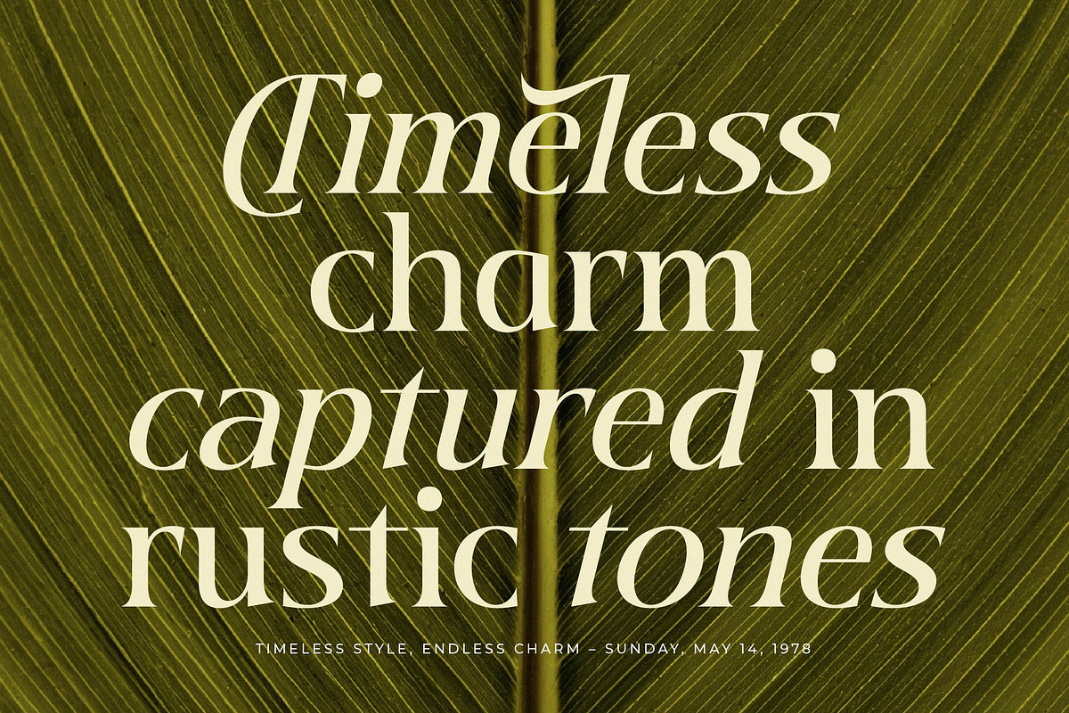 Twilight Vintage Modern Serif, a Serif Font by timelesstype.co (Photo 8 of 20)