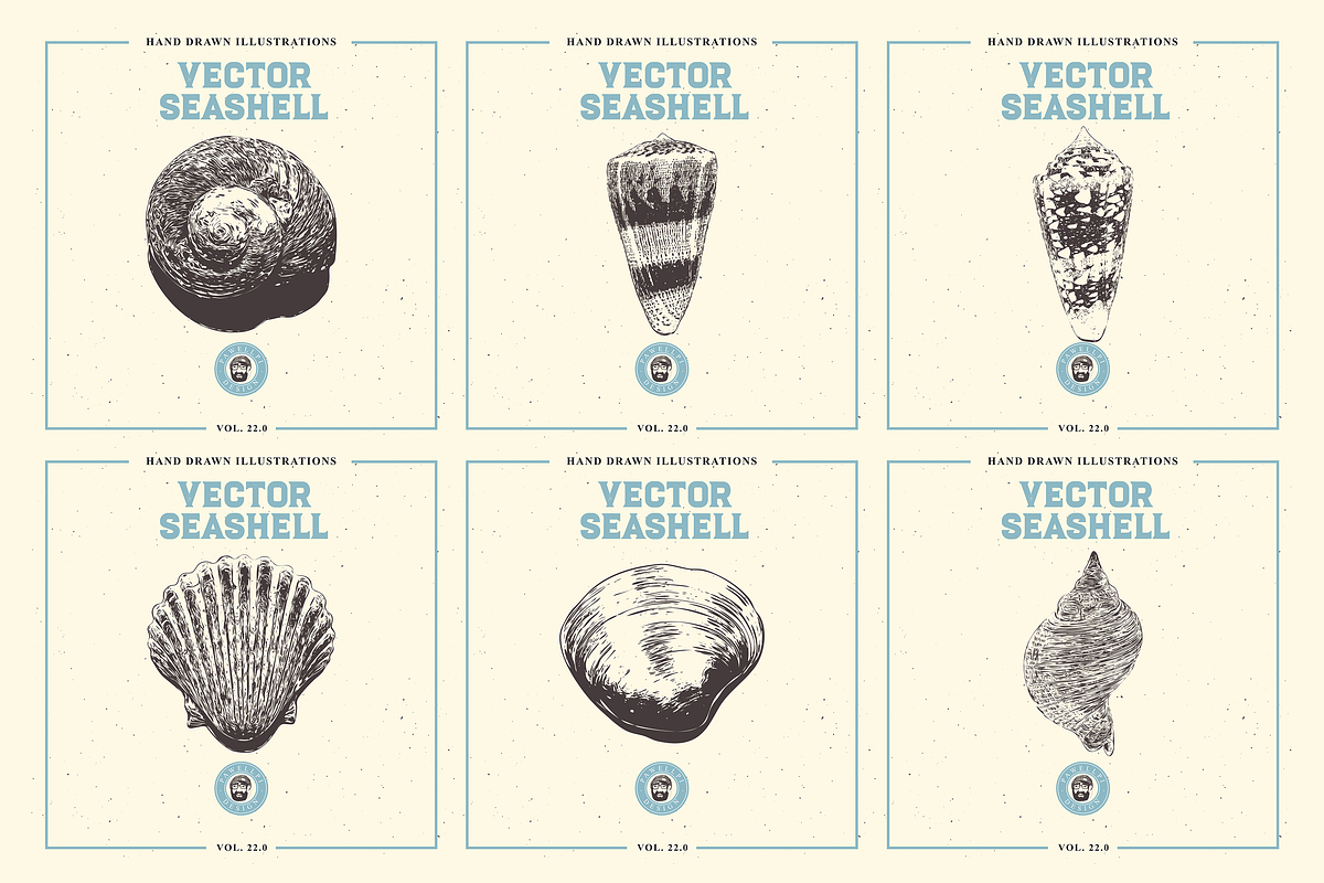 VECTOR SEASHELL HAND DRAWN BUNDLE 22, an Illustration by pawellpi (Photo 5 of 10)