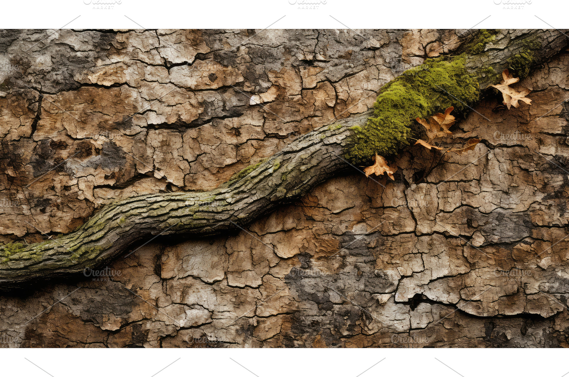 strength oak tree trunk ai generated, a Nature Photo by pikepicture