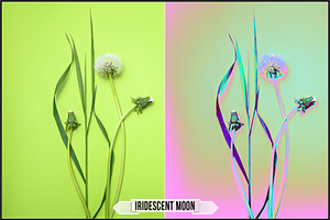 Iridescent HDR Profiles And LUTs V.2