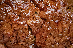 Close-up of human feces, a Health & Medical Photo by DanFLCreativo