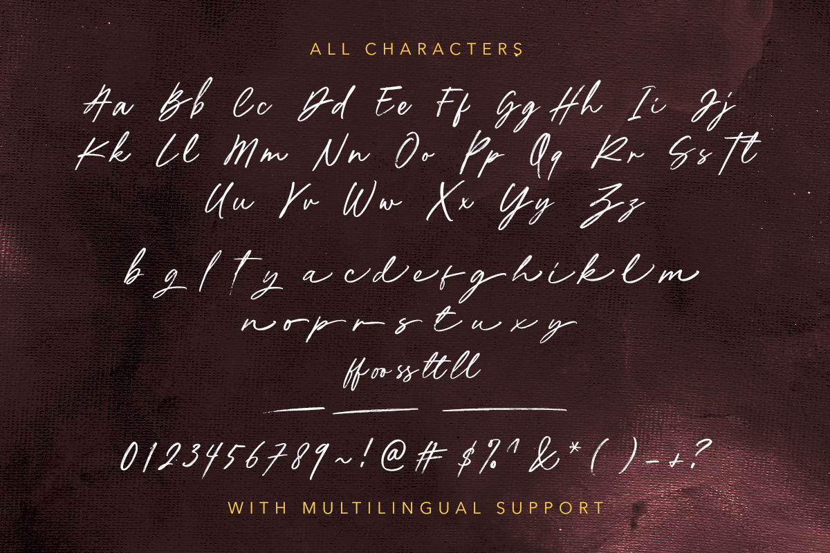 Ardelion - Signature Brush Script, a Script Font by Sarid Ezra (Photo 9 of 9)