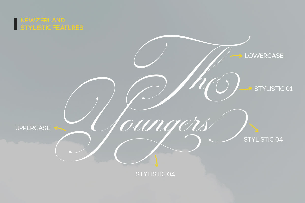 Newzerland Script, a Script Font by Romiecreative (Photo 8 of 12)