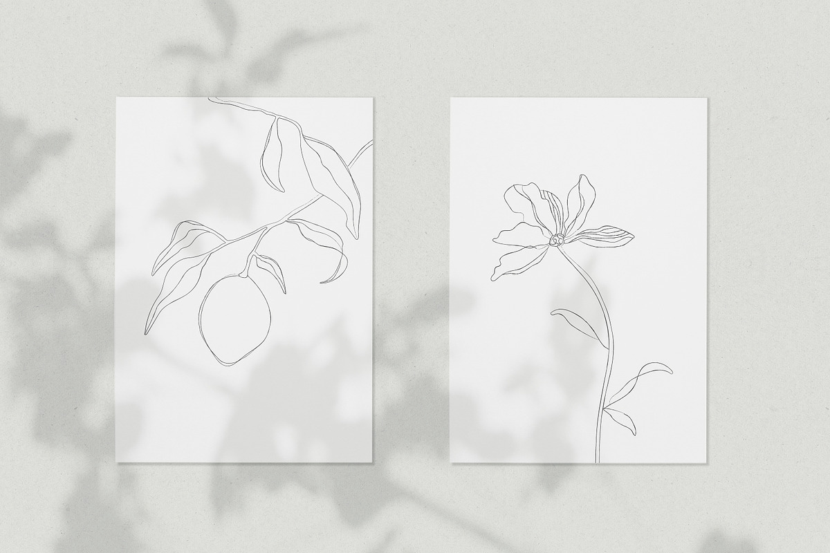 Minimalist Botanical Line Sketches, a Decorative Illustration by Galerie Design Studio (Photo 3 of 6)