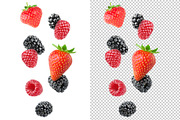 Falling berries, an Object Graphic by Fruits+Veggies (Thumbnail 3 of 5)