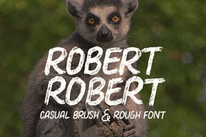 Robert Casual Brush Font