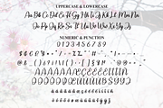 Saga | Script Font, a Handwritten Font by Scratchones (Thumbnail 7 of 9)