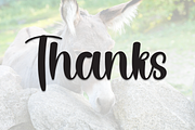 Donkey | Script Font, a Handwritten Font by Scratchones (Thumbnail 9 of 9)