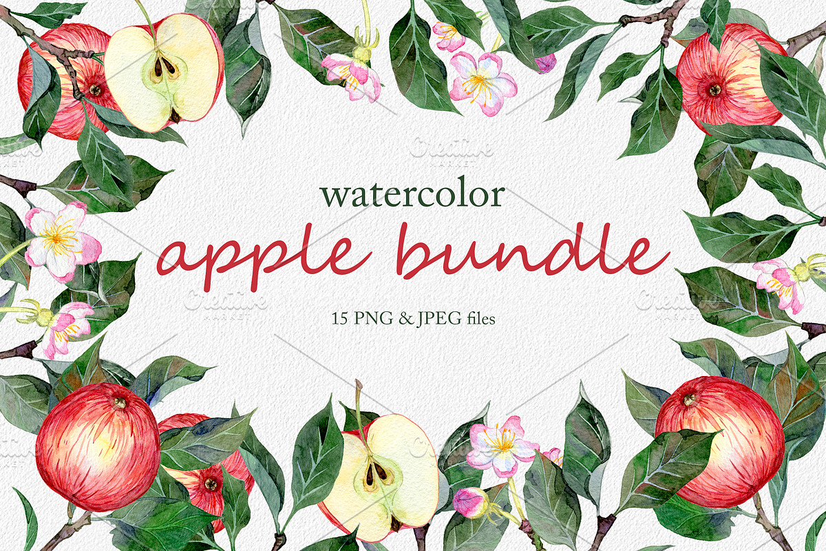 Hand drawn watercolor apple set, an Illustration by OlyaSenko (Photo 1 of 4)