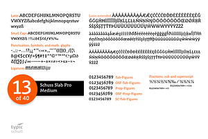 SchussSlabProMedium No.13 1 Font