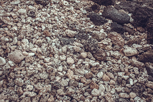 Sea ​​stones