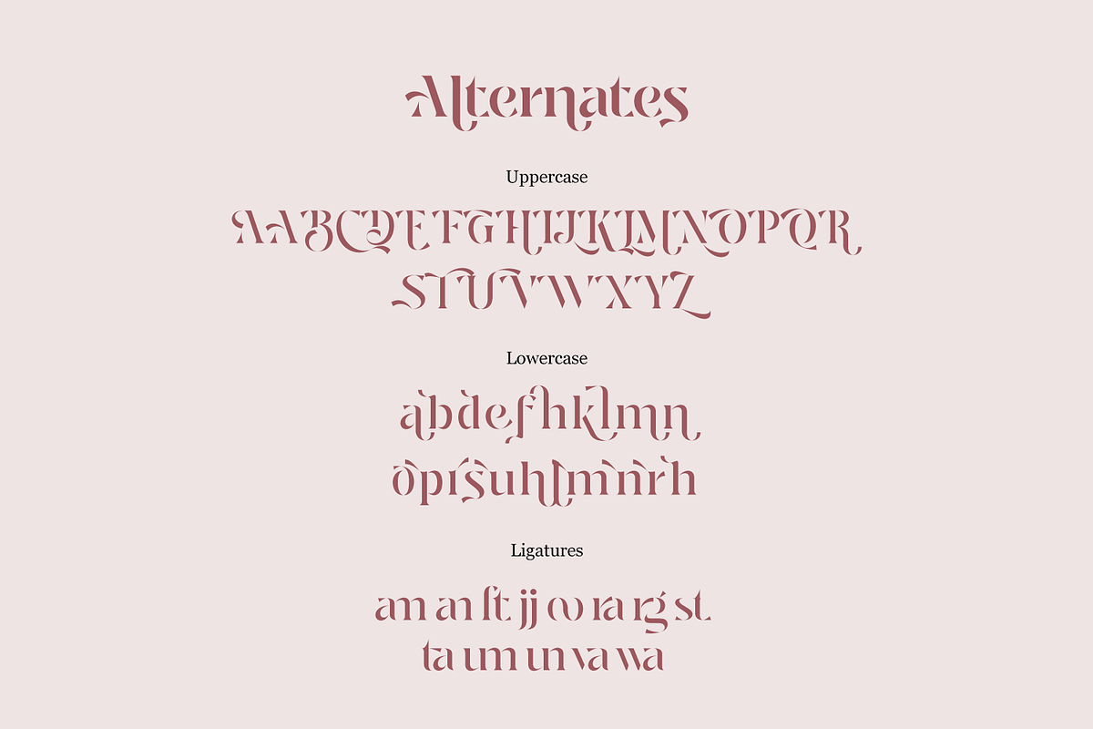 Losta Parka - DecorativeStencil Font, a Sans Serif Font by creativemedialab (Photo 4 of 13)