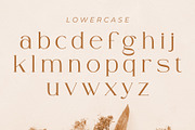 Ammira | A Modern and Elegant Serif, a Serif Font by Andrimada Creative (Thumbnail 3 of 13)