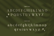 Vianeka -  Modern Luxury Serif Font, a Serif Font by Flawless And Co (Thumbnail 8 of 10)