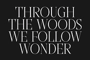CS Rasten– Modern Serif Font, a Serif Font by Craft Supply Co. (Thumbnail 4 of 8)