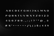 Varex Bold Elegant Sans Serif Font, a Sans Serif Font by Ebad Designs (Thumbnail 2 of 10)