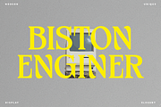 Meginer Nineties - Modern Serif, a Serif Font by Comactype Foundry (Thumbnail 14 of 22)
