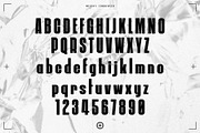 Solid Contact Condensed Sans Serif, a Sans Serif Font by Pathfinder Goods (Thumbnail 3 of 8)