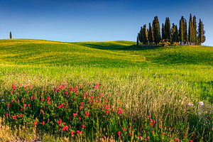 Spring Tuscany landscape, a Nature Photo by Alpine Dreams