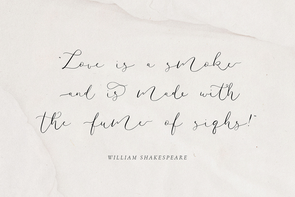 Amelie - Chic & Elegant Script Font, a Script Font by SilverStag Type Foundry (Photo 17 of 23)