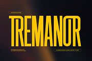 Tremanor Condensed Sans Font, a Sans Serif Font by Rasio Studio (Thumbnail 1 of 10)